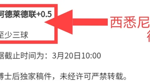 篮球赛事分析：奇才与公牛赛程解读