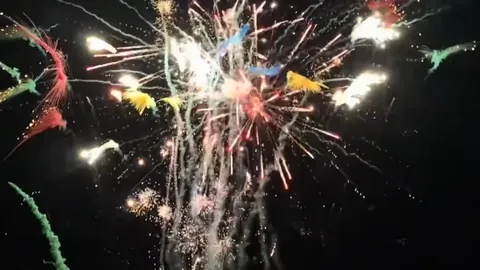 体育瞬间映照全球变革之力